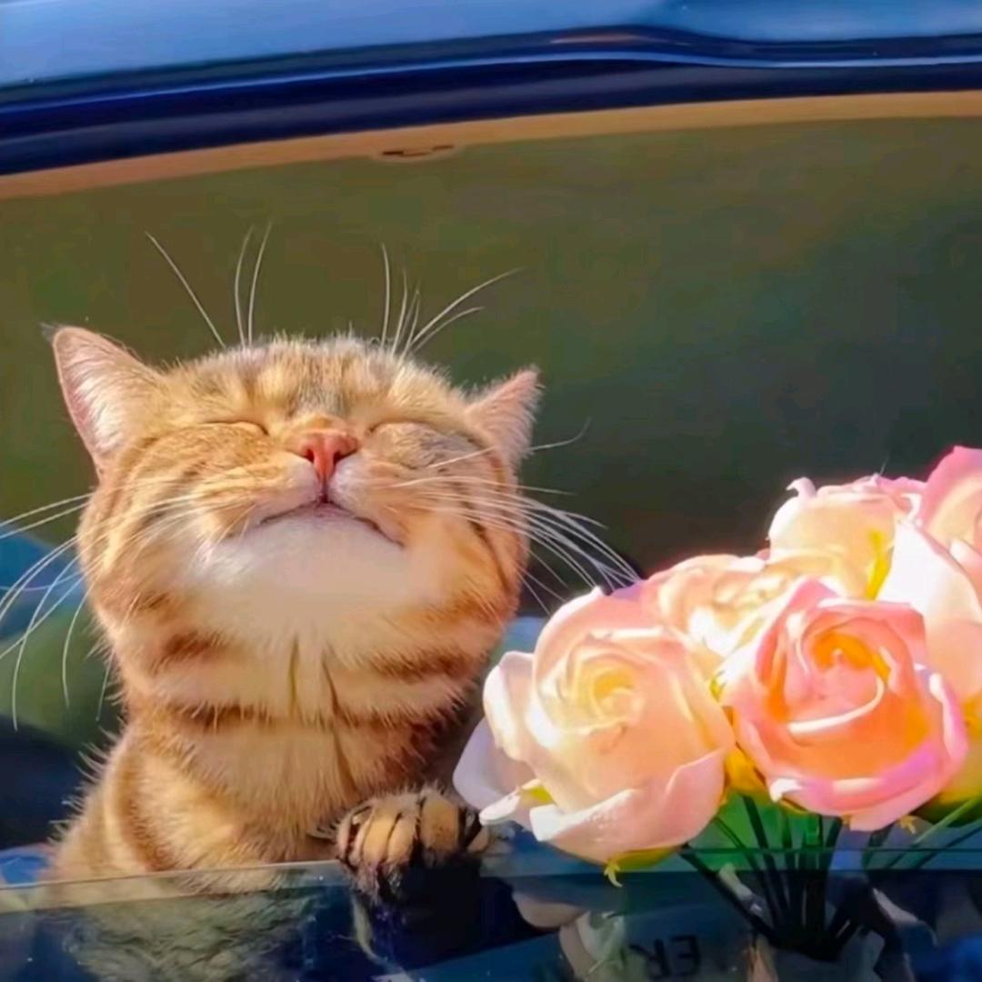 柒号花坊