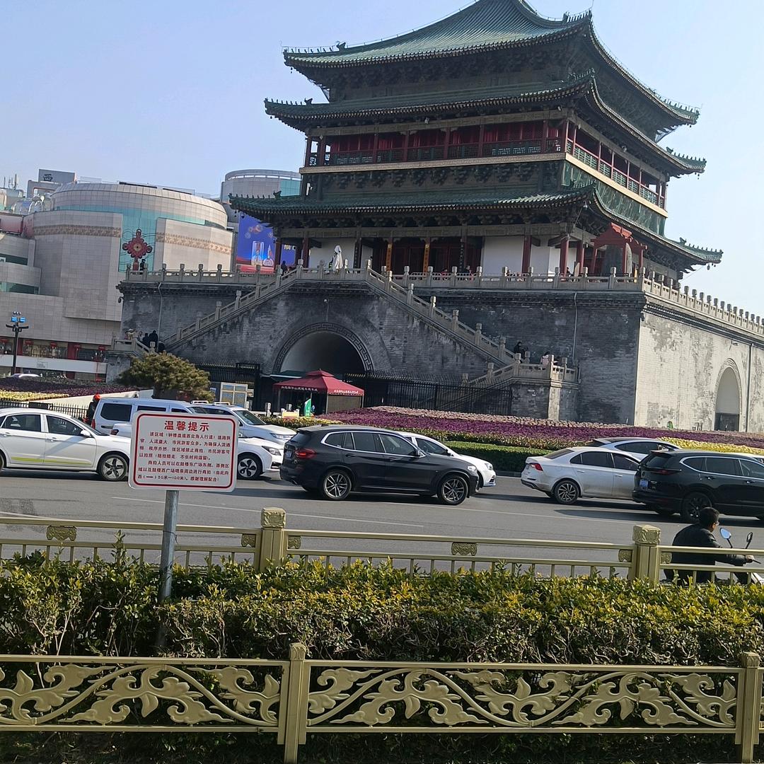 老龙