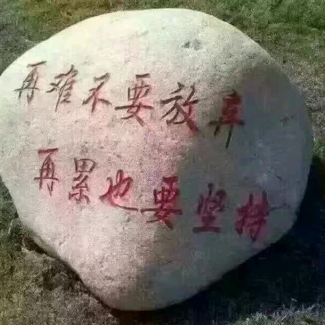 猪孙霸屏伪装恶炒🐷断绝孙。