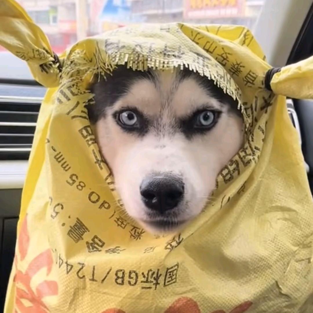 一薪一亿