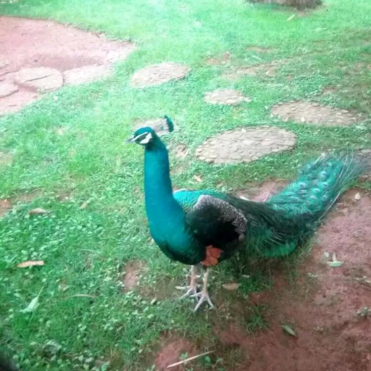 随心❤️自在❤️