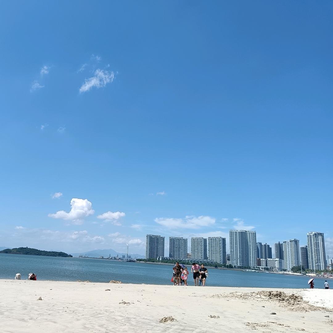 随风而来