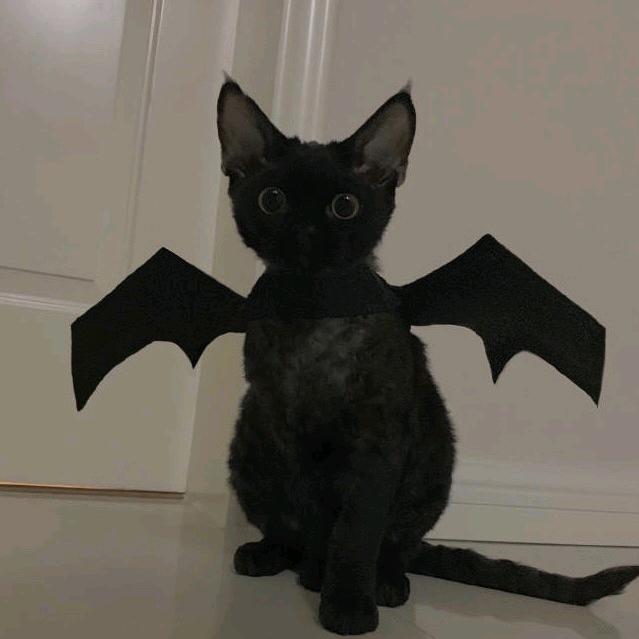 不开美颜的都是狠人😍