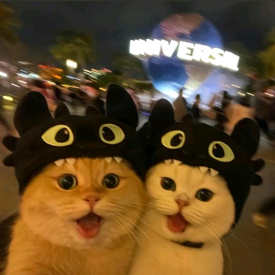 啊群