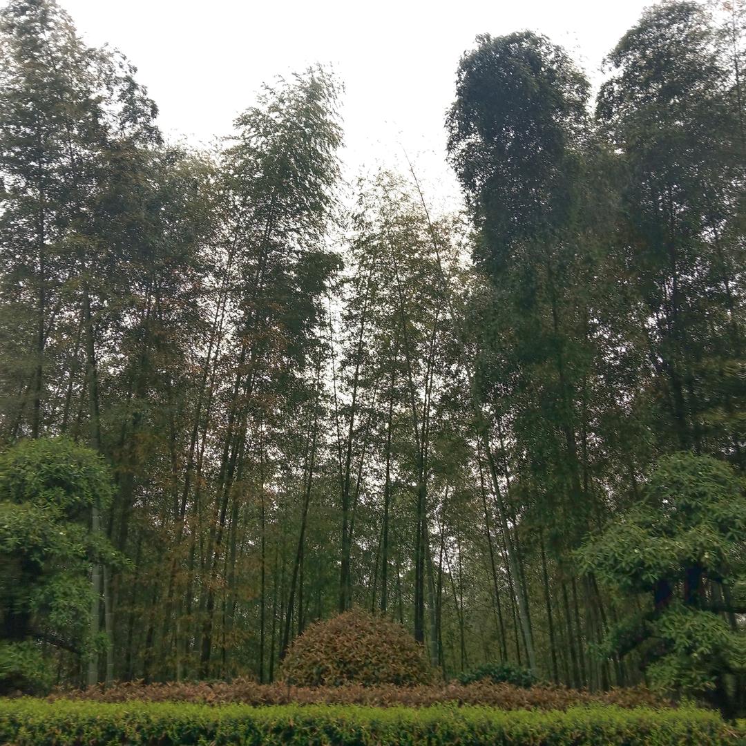莫名