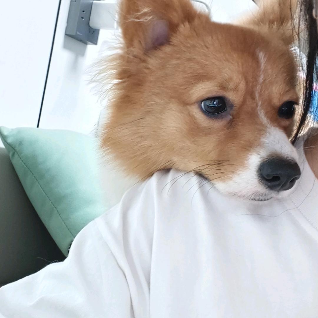 不吃胡萝卜🥕🥕