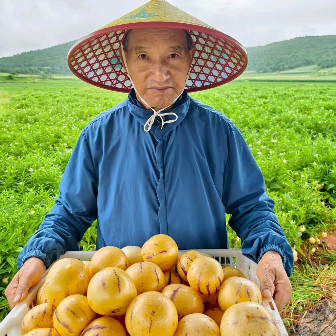 农民的果园