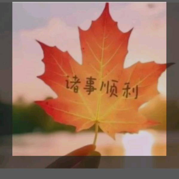 烟深汕人