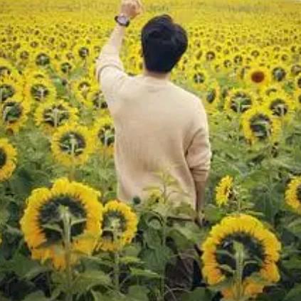 ❥☾⋆440295᭄୧⍤