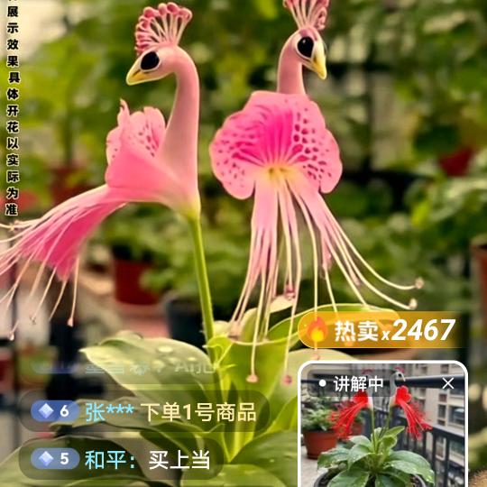 新艺园艺