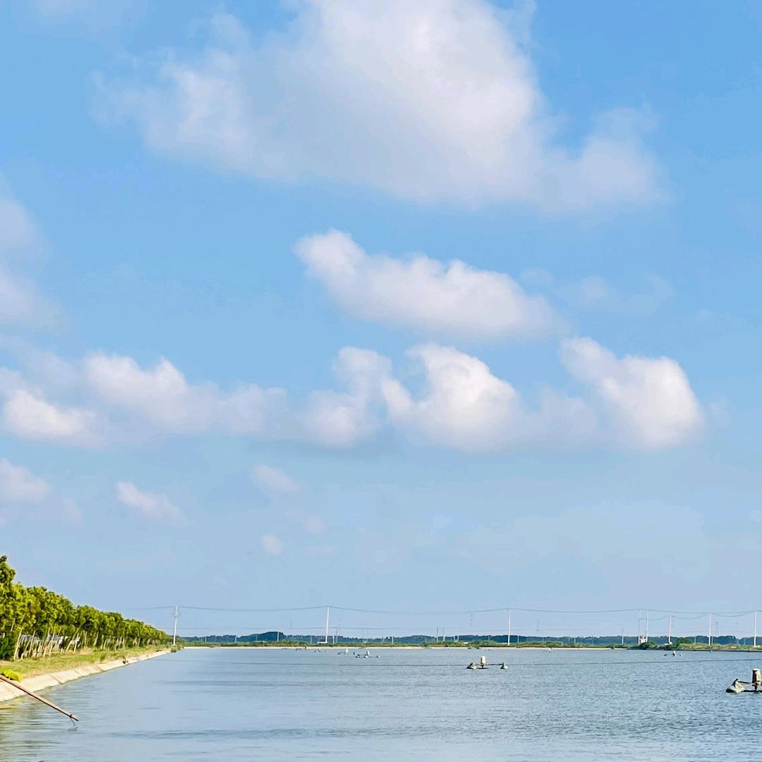 先生你好