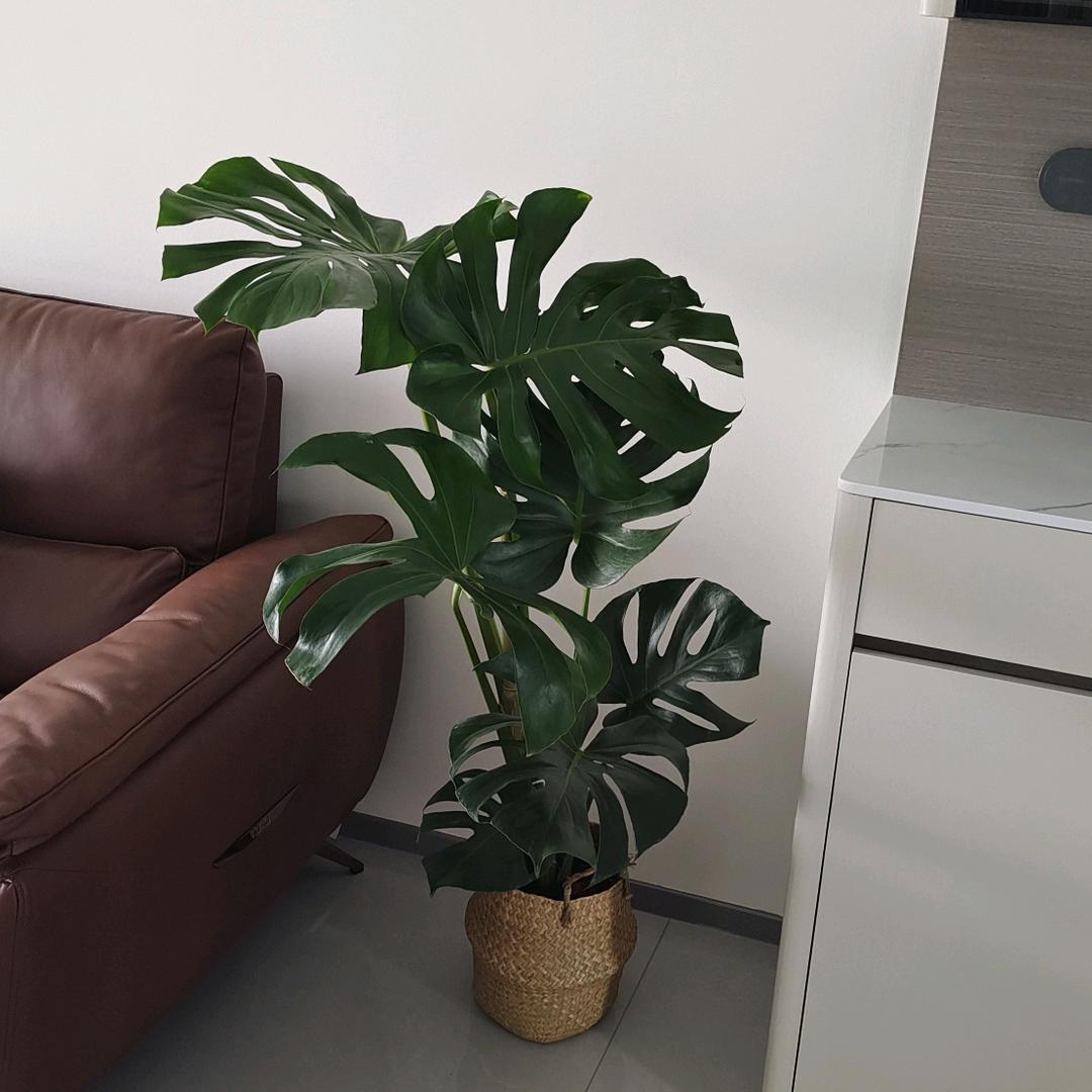 中👨🏻年大哥