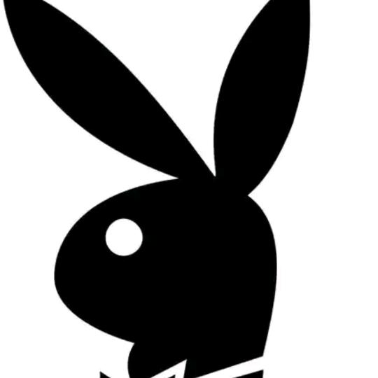 playboy