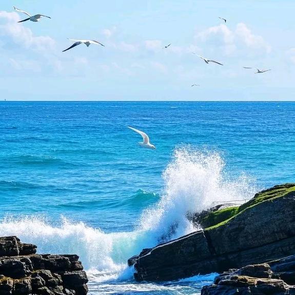 伴风望海