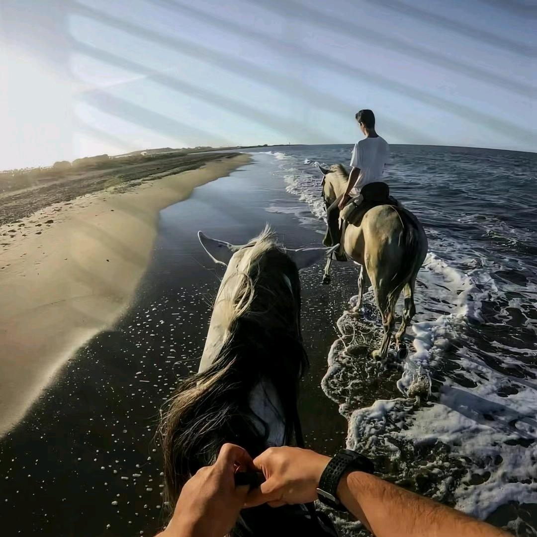 A小马📱手机专卖