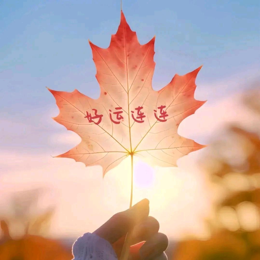 🌸一花一世界🌸