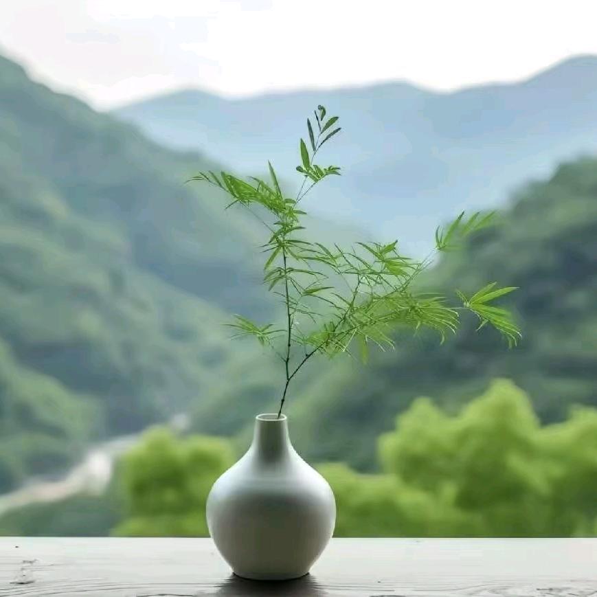 ☘️心向星光☘️