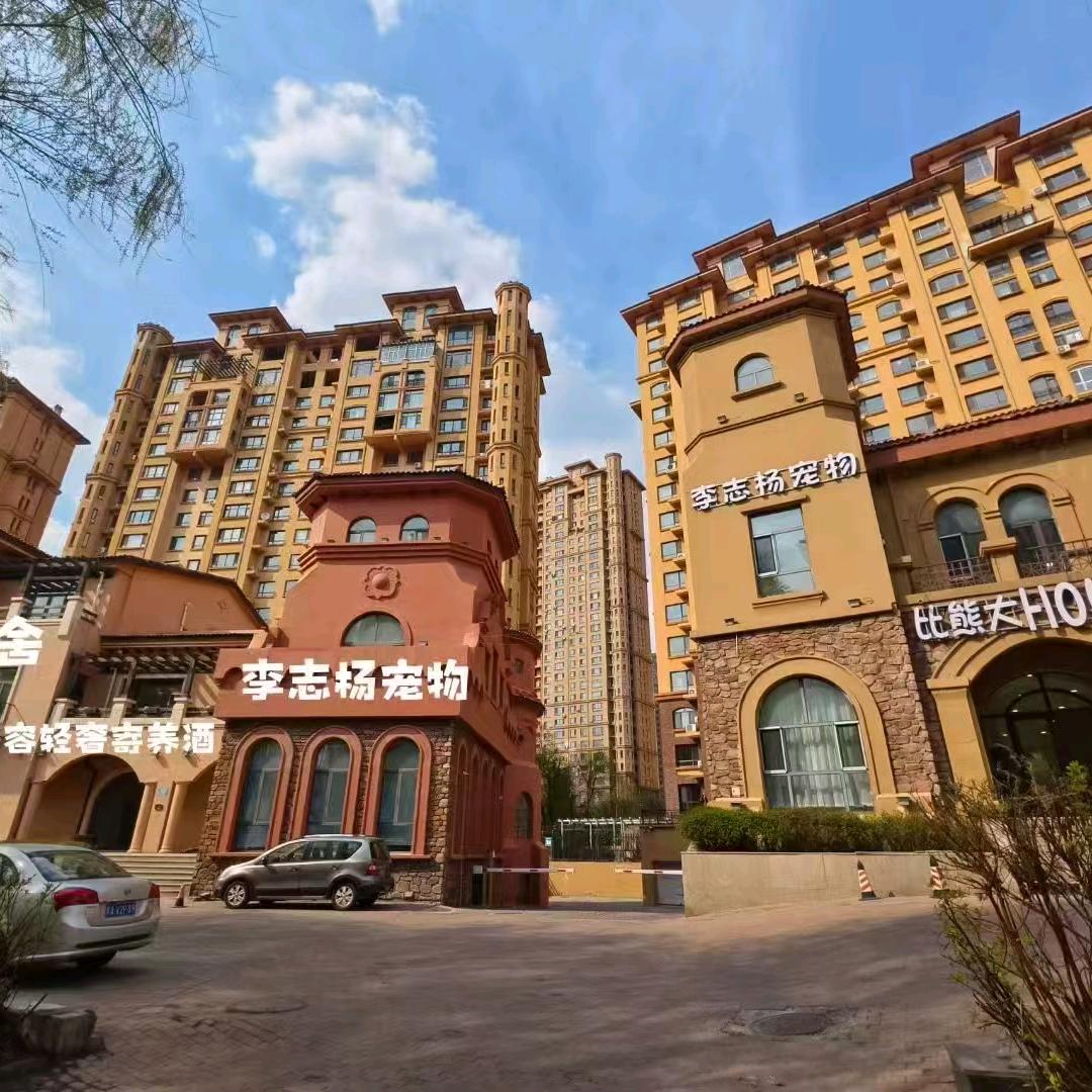 李志杨宠物寄养酒店比熊大House