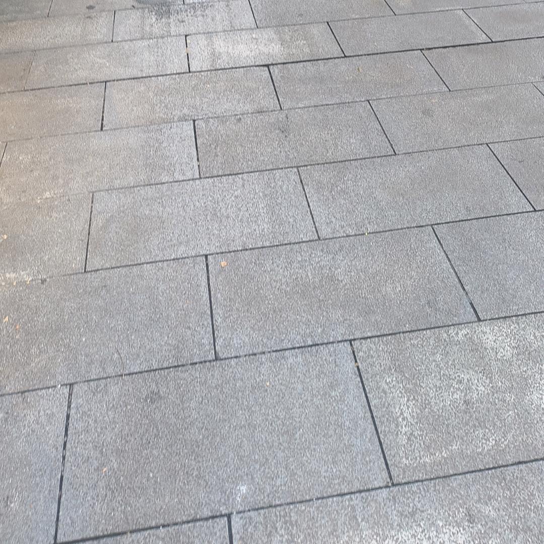 林志