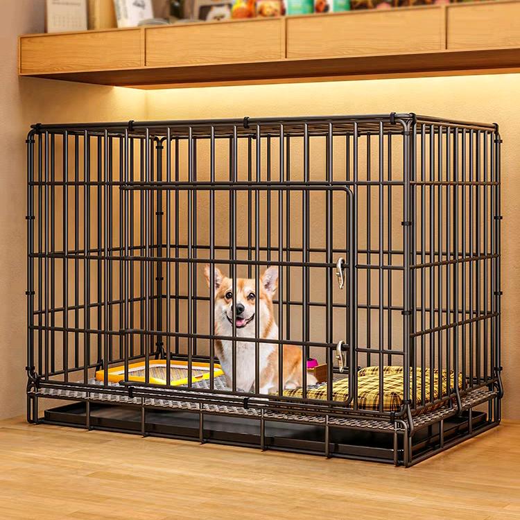 狗王