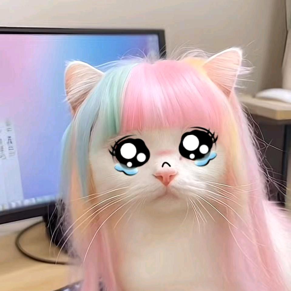 猫meme恋爱日常
