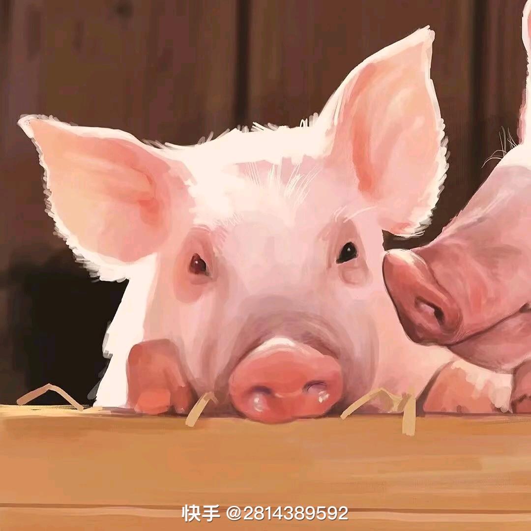狗蛋er.