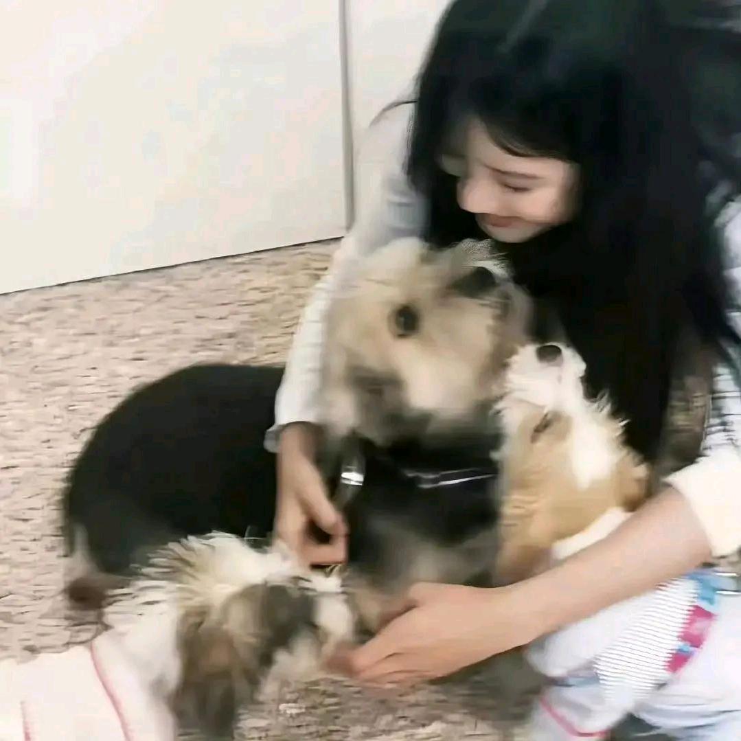 七安灬