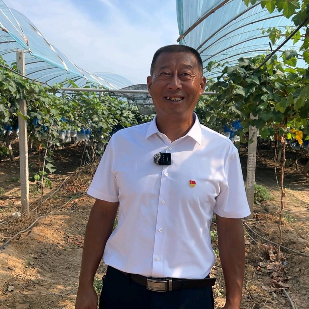 高淮村张书记