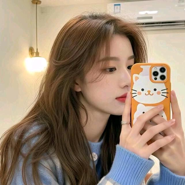 凌晨一点的猫猫～