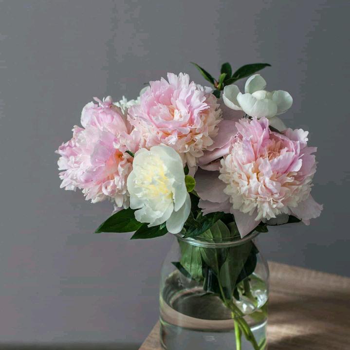 👍👍👍👍👍👍👍👍👍👍