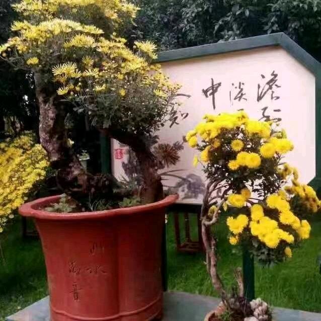 春天
