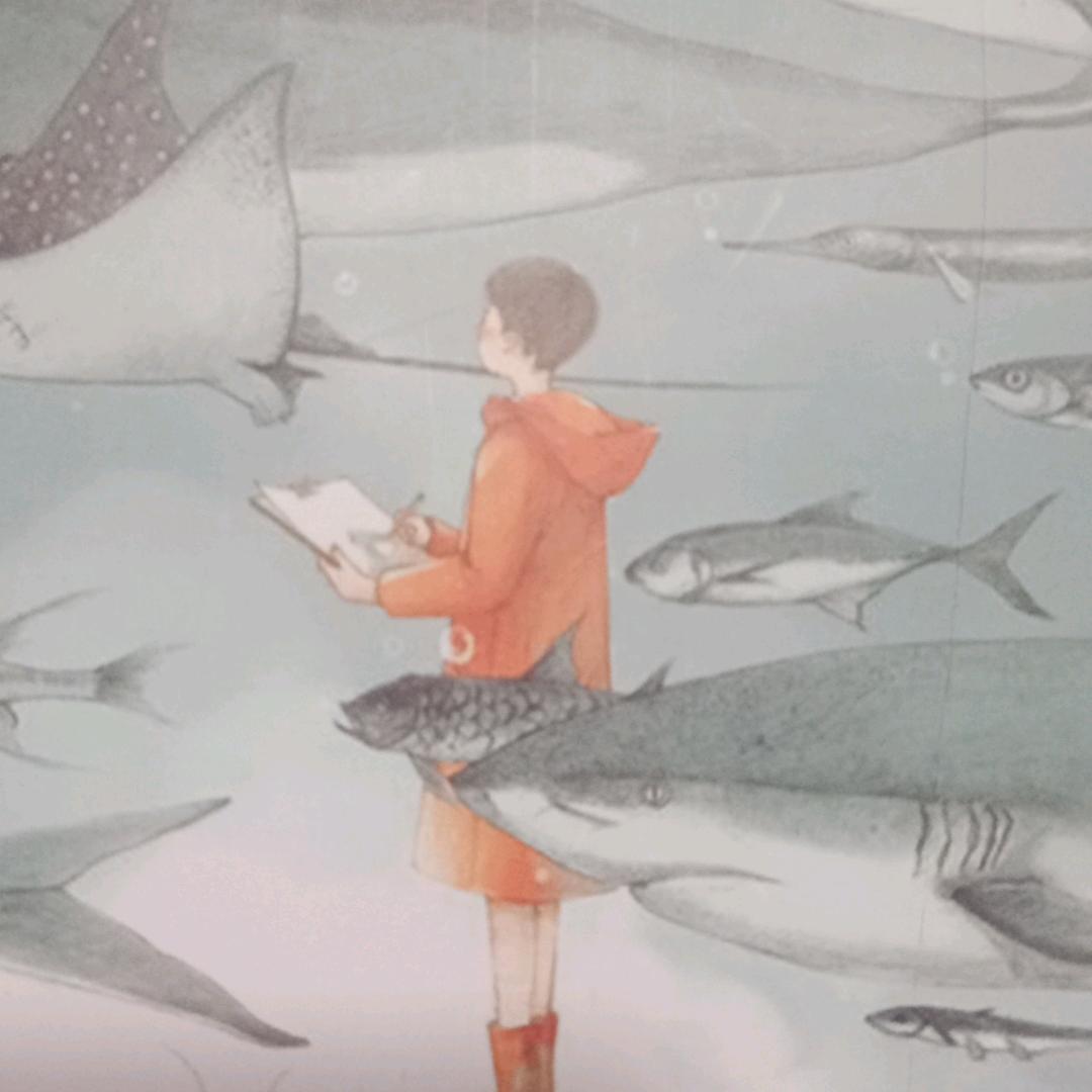 与宁同在(R.Ⅹ.棚妃)