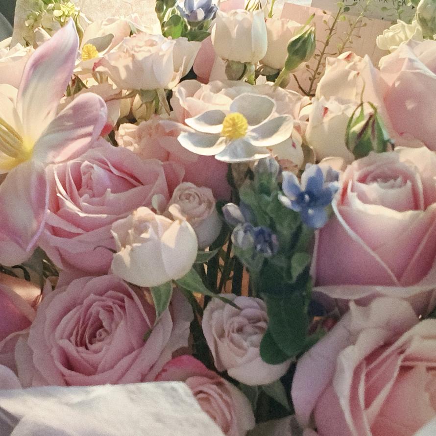 Wenwen累了💤🍊