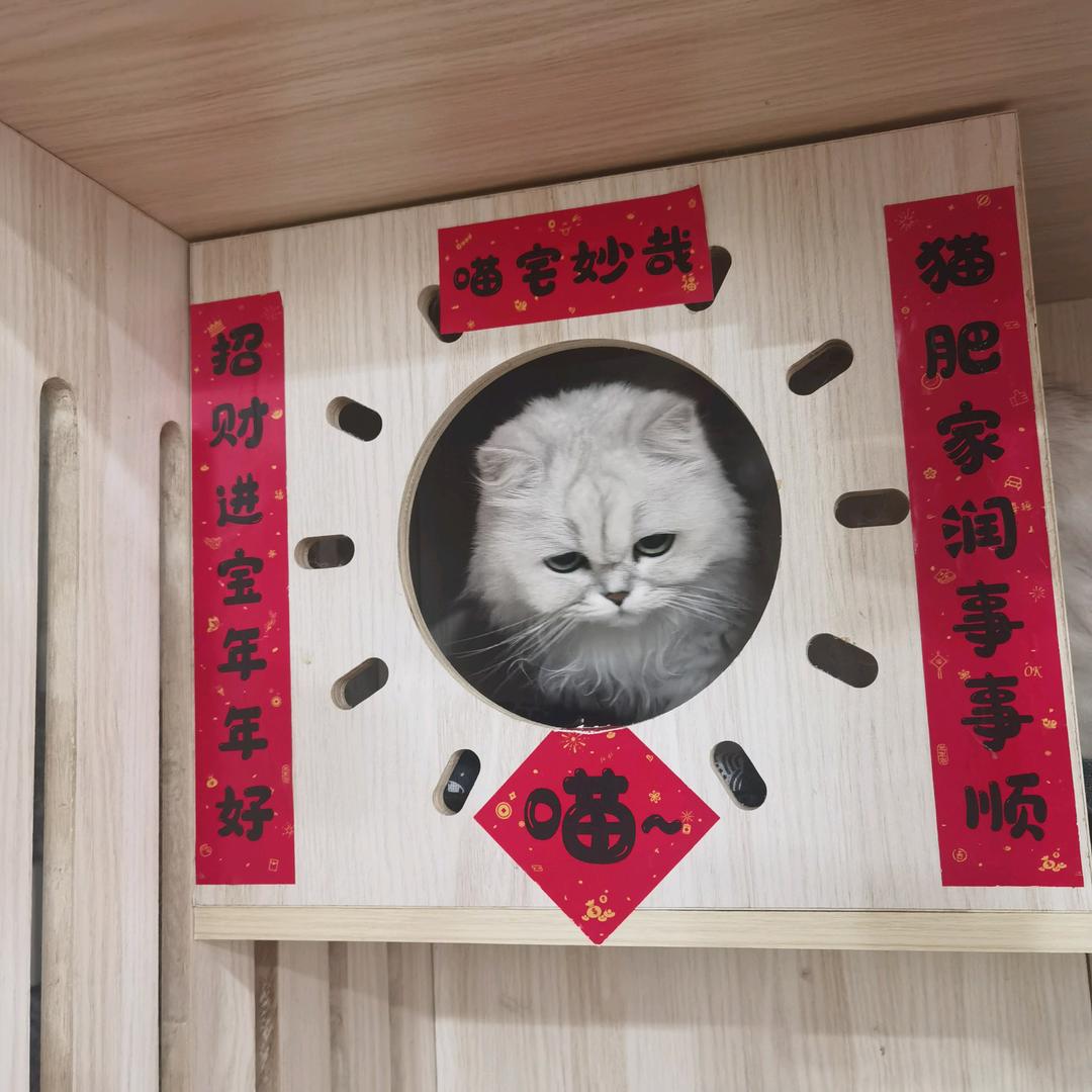 我是变态我骄傲我是变态我自豪略略略略