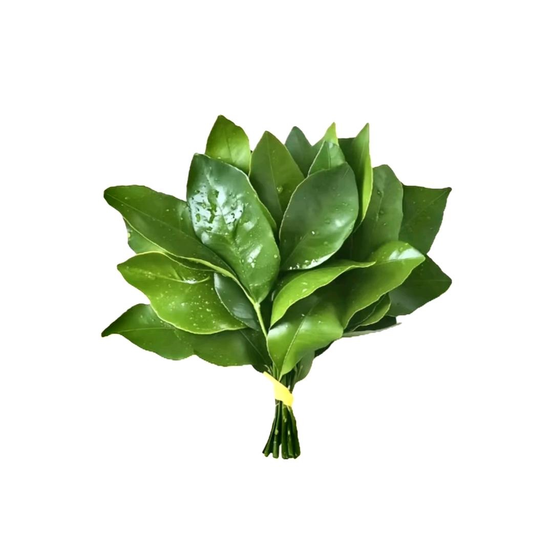 开心大麻花