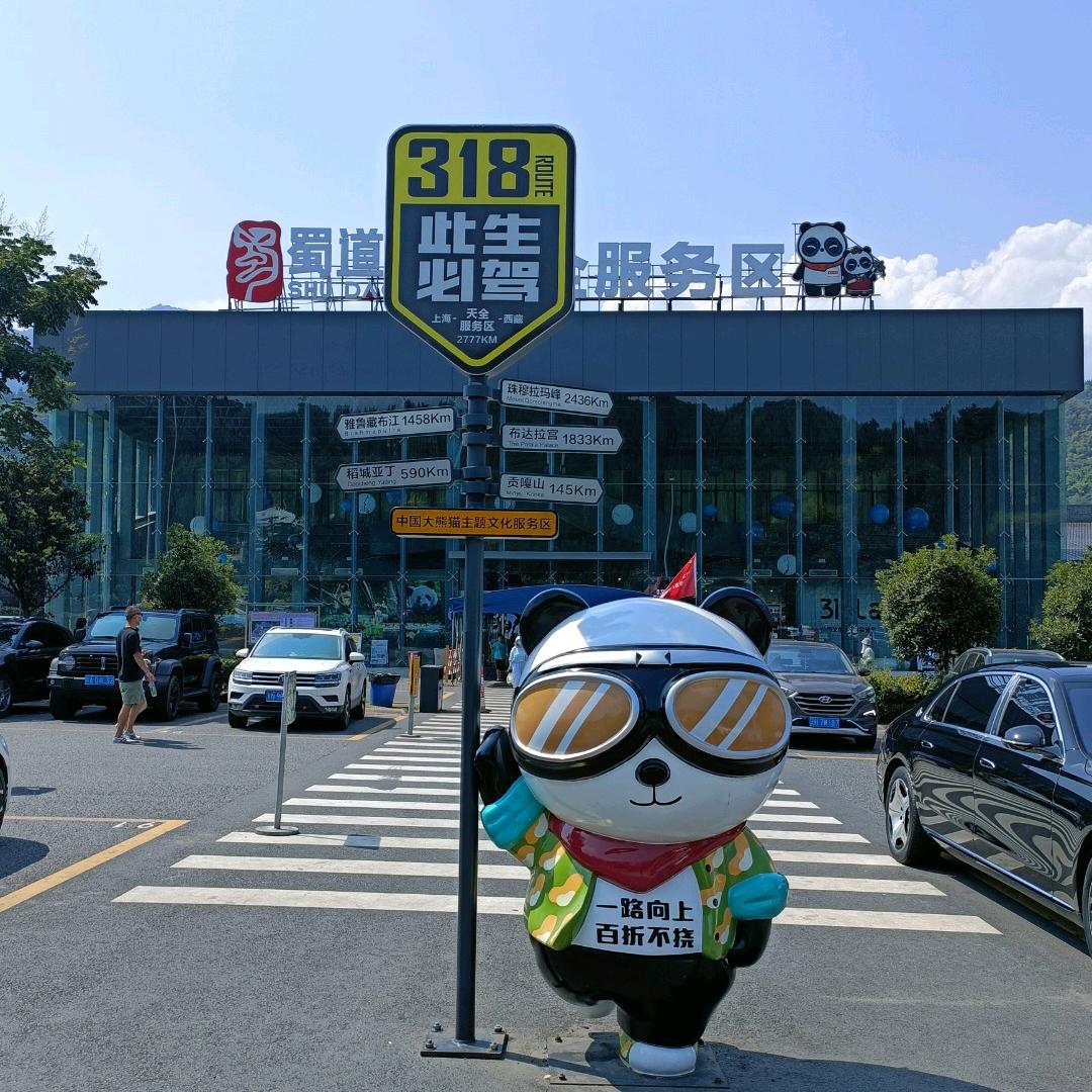 浙B 爱打转向灯