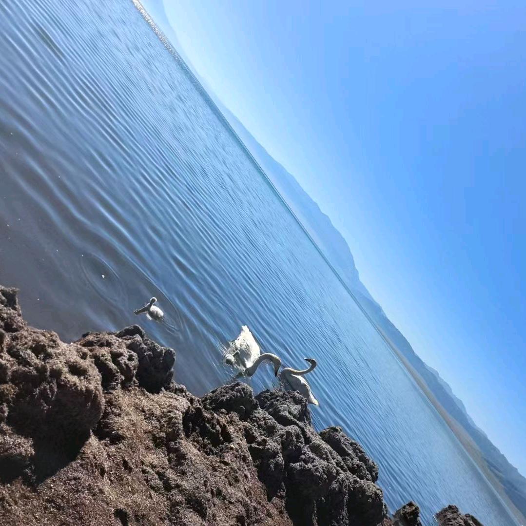 我就是我，不一样的烟火