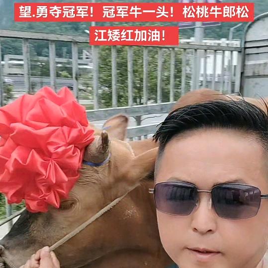 松江矮红黑马队（放牛娃）发哥