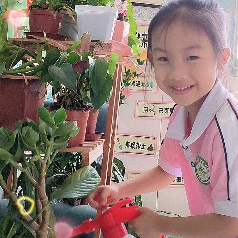 阿飞