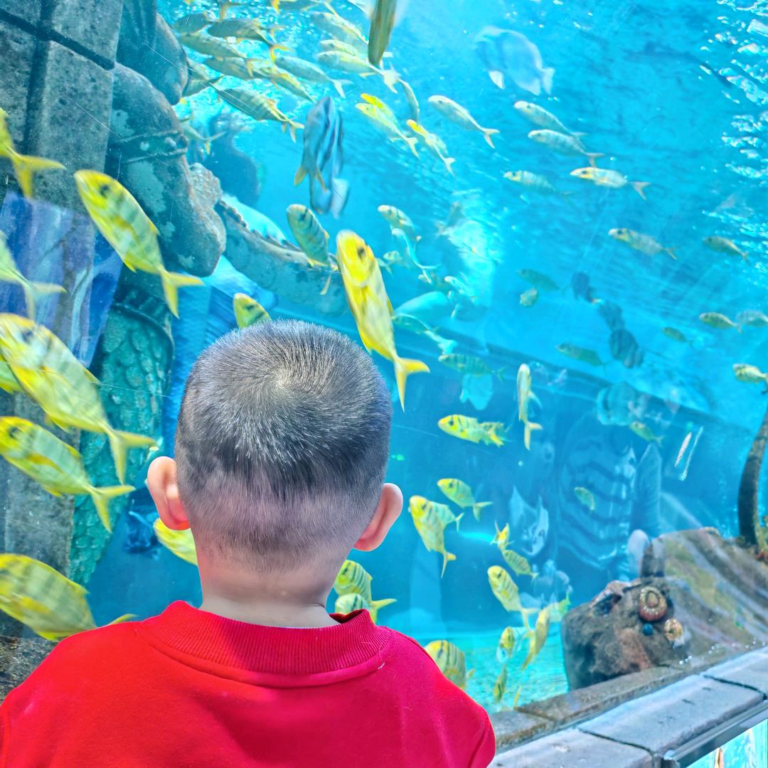 🌈米乐的胖妈妈