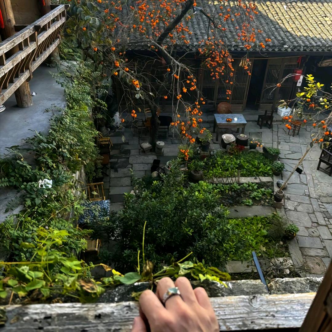 钟情江南