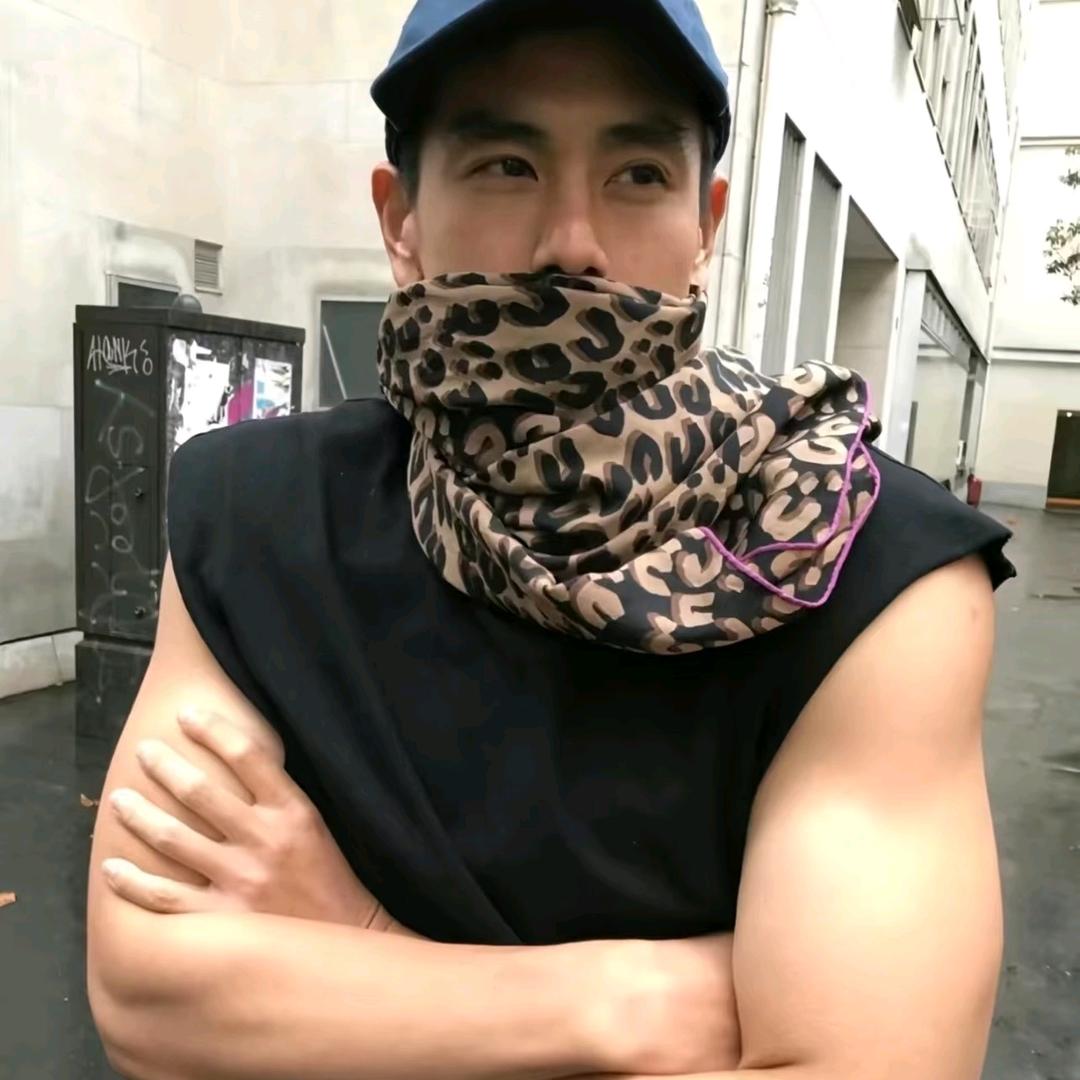 宇宙超级无敌霸王龙