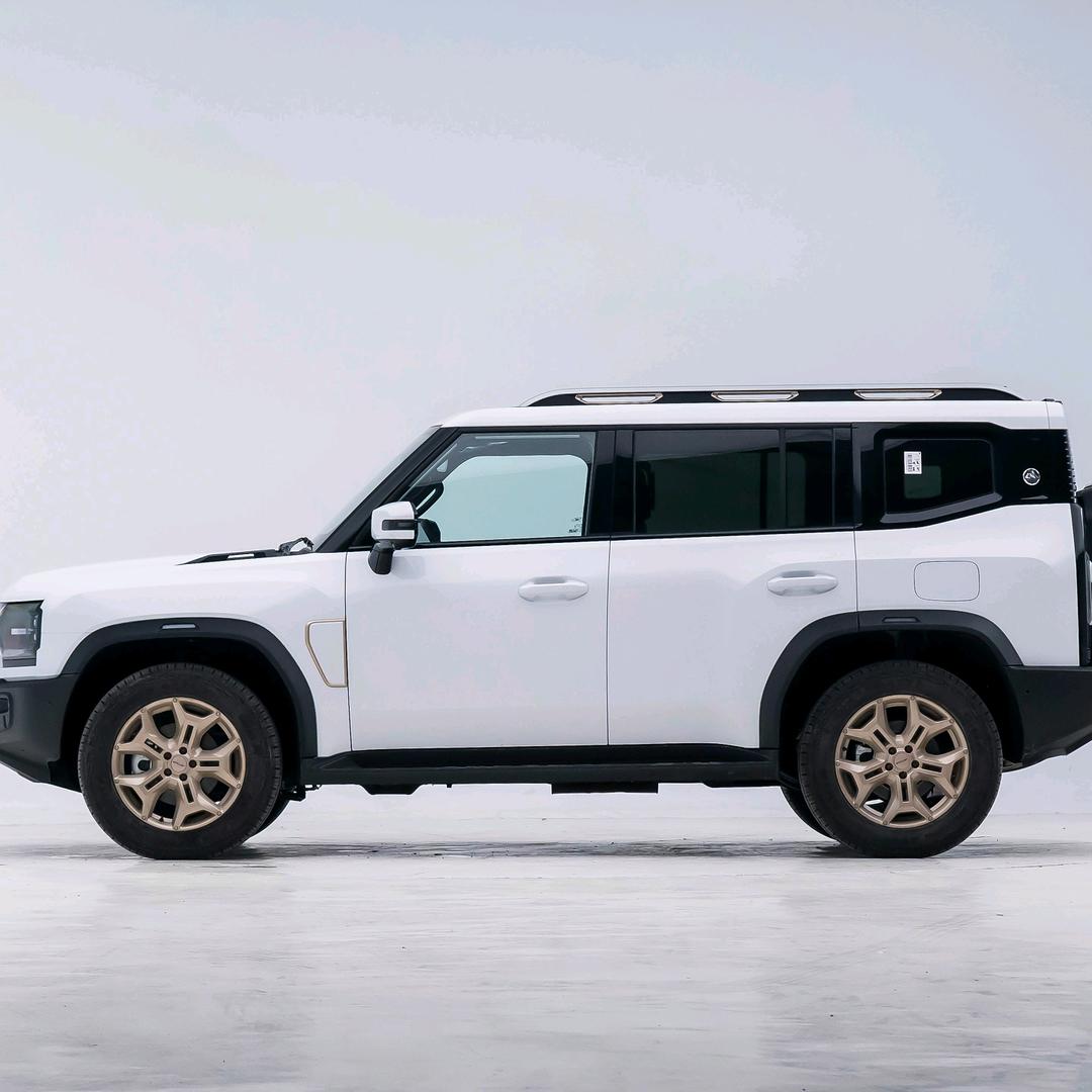 平顶山华金新能源（方哥）