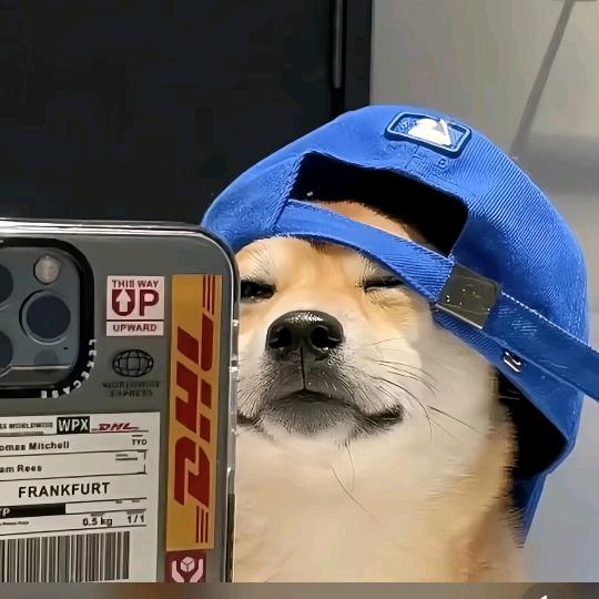 管我