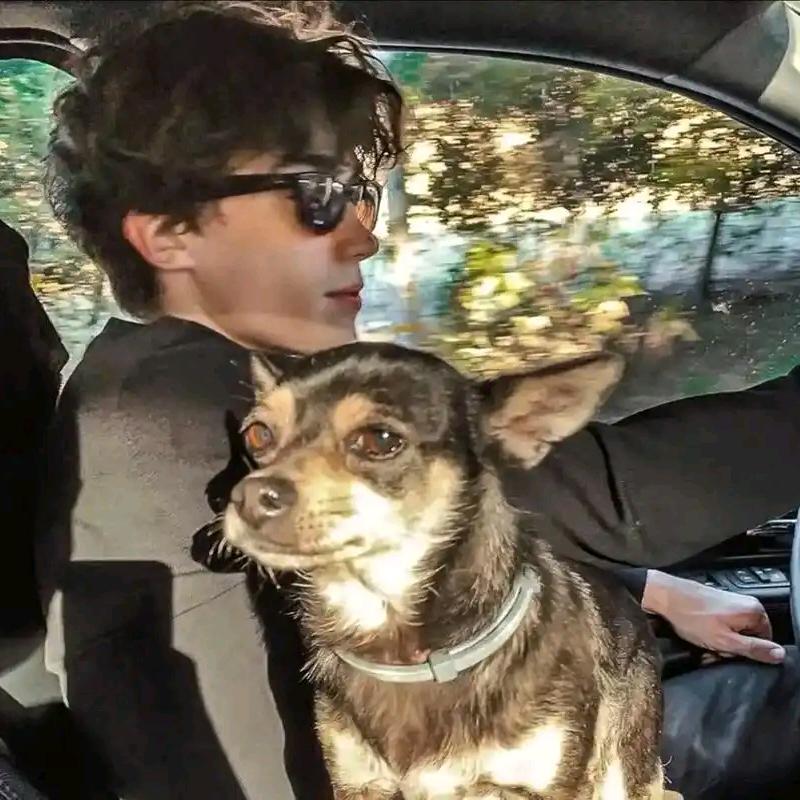 大家都叫我亮蛋.