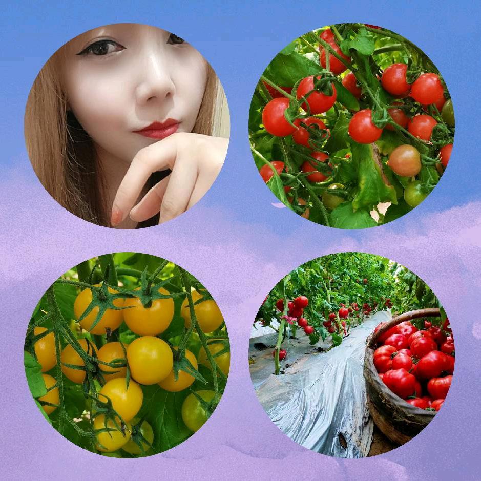 🍅李媛 【李百万】