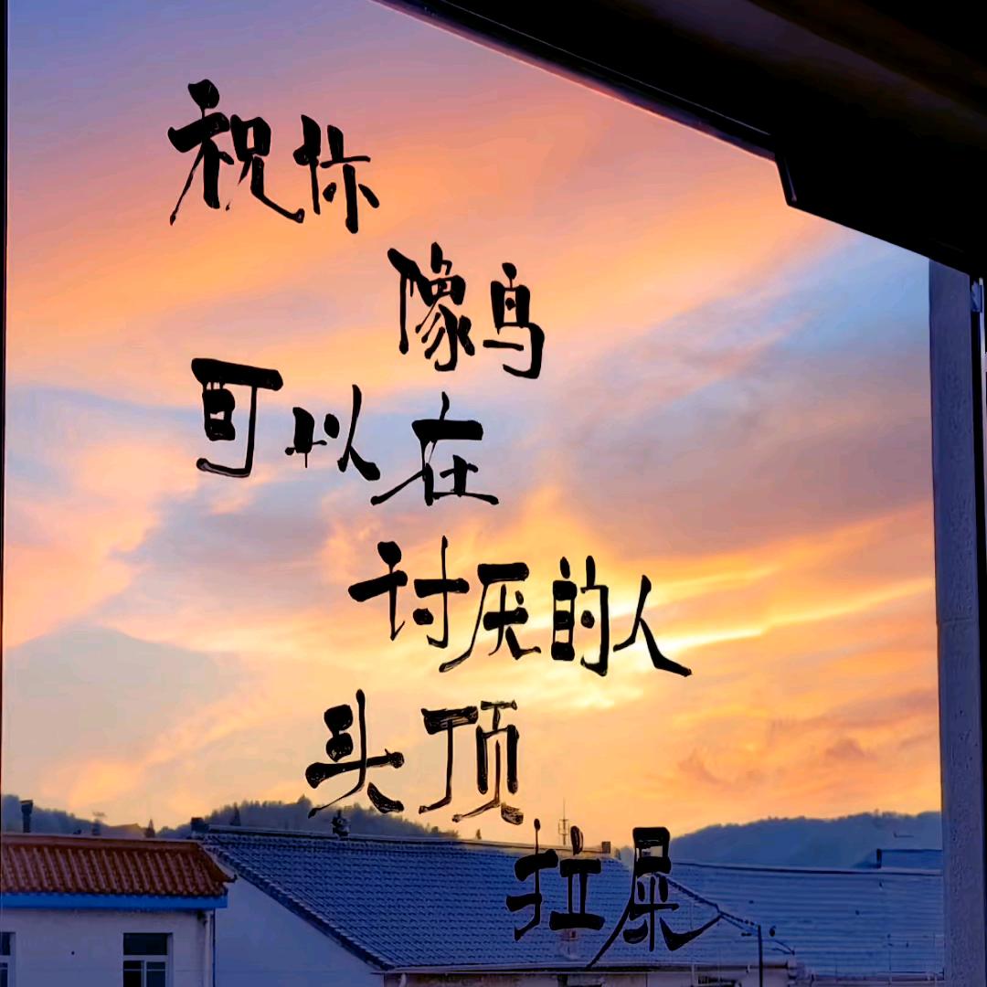 养男朋友不如养小狗