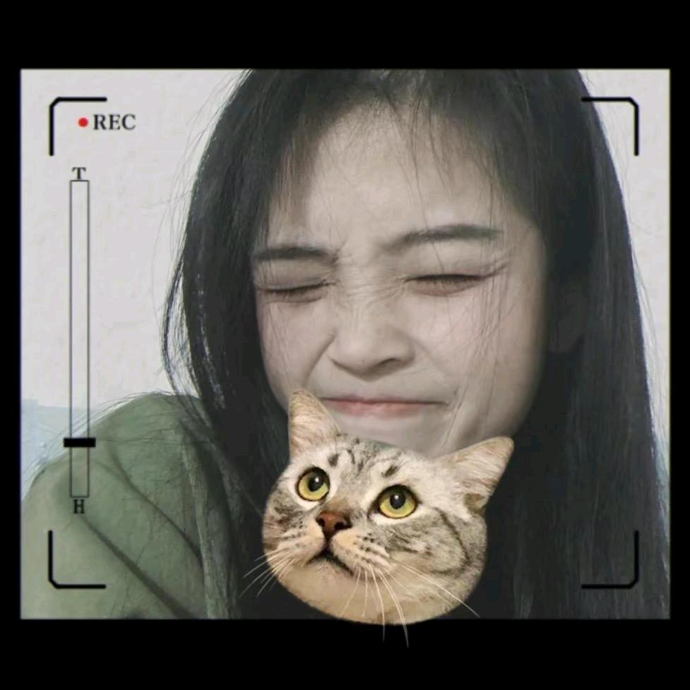 可能认识的好友