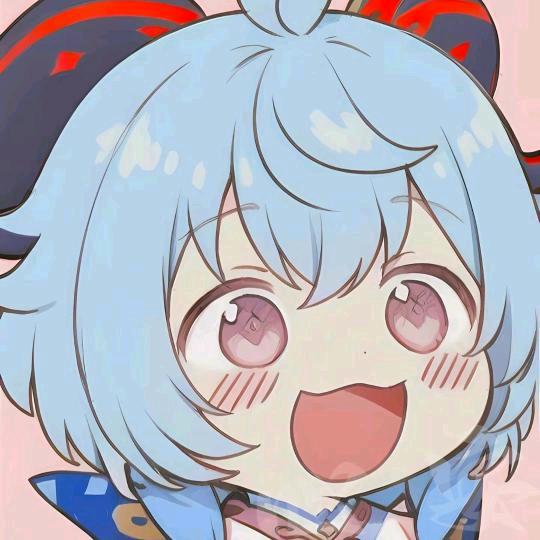 红豆喵Azuki