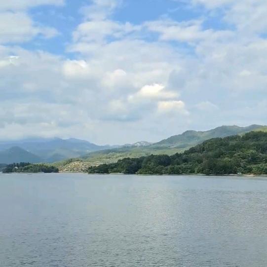 鱼你有缘